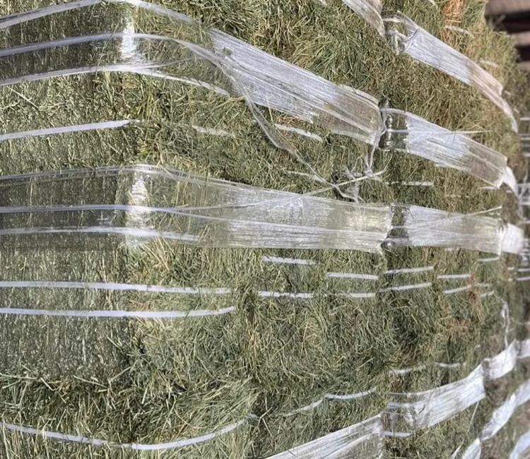 Banded and compressed alfalfa bales