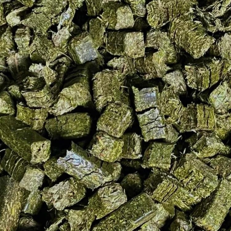 17% protein alfalfa cubes