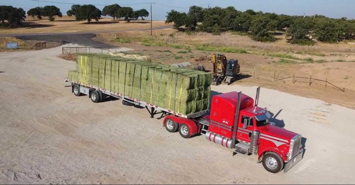 A flatbed load of alfalfa big squares
